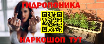 индика Можайск
