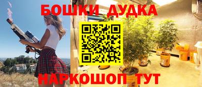 индика Можайск