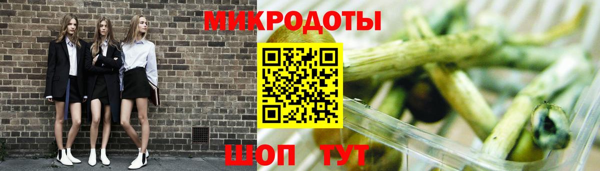 Псилоцибиновые грибы Psilocybe Черногорск